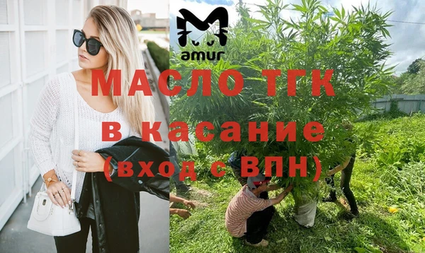 дмт Мегион