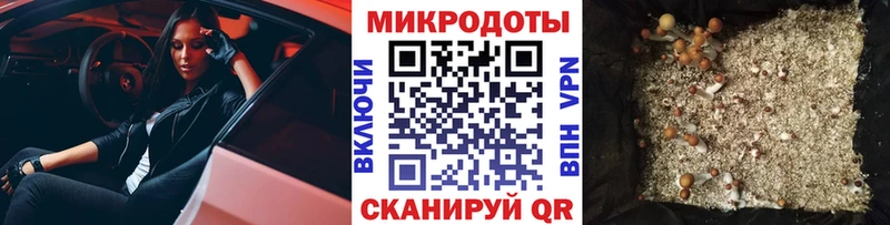 купить наркотики сайты  Разумное  Псилоцибиновые грибы GOLDEN TEACHER 